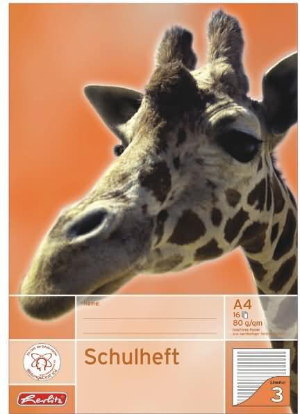 Image du produit Herlitz Cahier d'école X-Book, DIN A4, linéature 3 (A4, À rayures, Non contraignant)