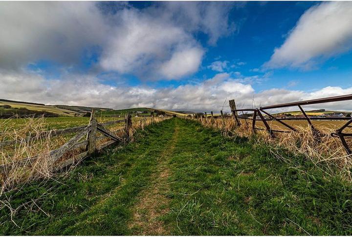 Image du produit Samyang 14mm f/2.8 MKII Canon EF (Canon EF, APS-C / DX)
