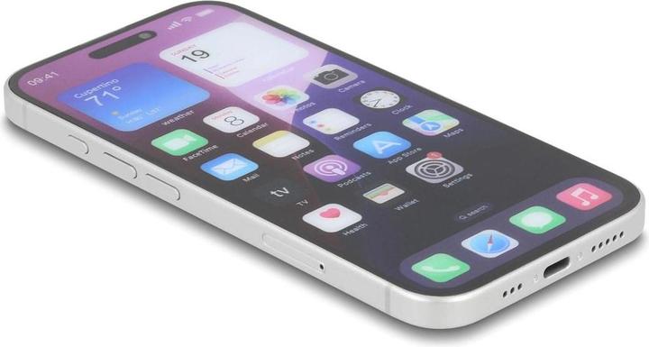 Produktbild Delock Schutzfolie für iPhone 16 mit Sichtschutz aus gehärte (1 Stk., Apple iPhone 16)