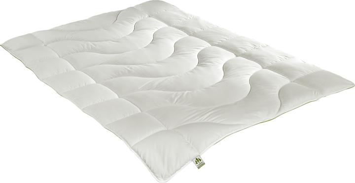 Actual product image Irisette Greenline Greenline Cyclafill ECO 4-seasons (1000 g, 200 x 210 cm)