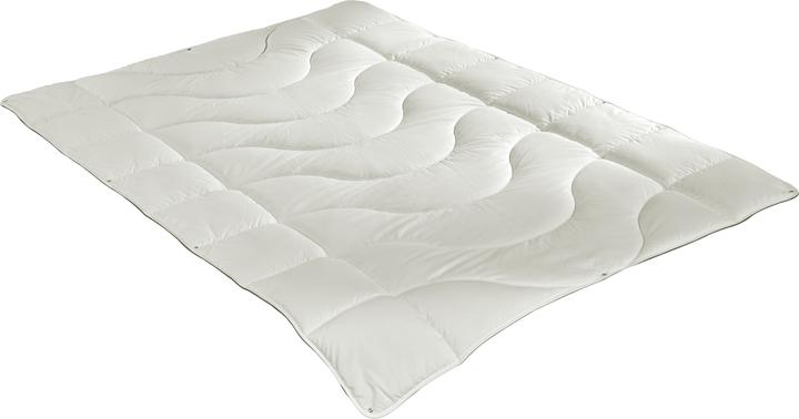 Actual product image Irisette Greenline Greenline Cyclafill ECO 4-seasons (1000 g, 200 x 210 cm)