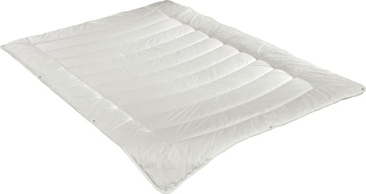 Image du produit Irisette Greenline Greenline Aerelle Blue 4 saisons (1000 g, 200 x 210 cm)