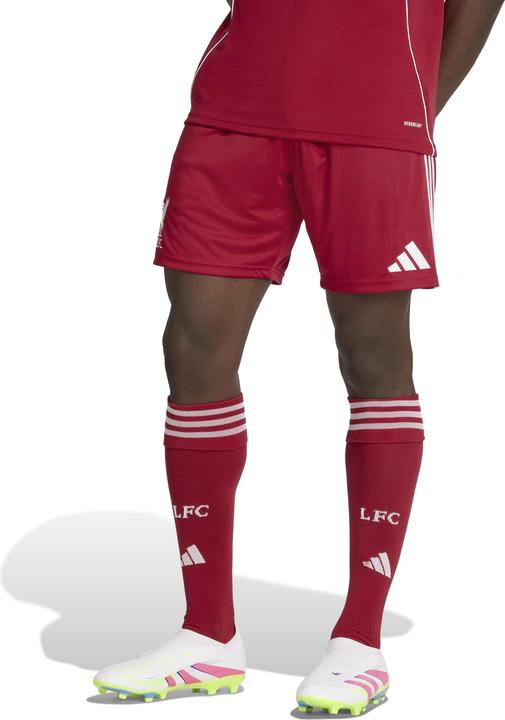 Actual product image Nike FC Liverpool Shorts (M)