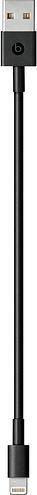 Produktbild Beats BeatsX (ANC, 8 h, Kabellos)