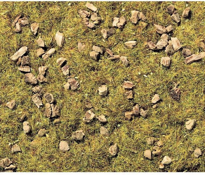 Produktbild Noch Streugras Steinige Bergwiese 8