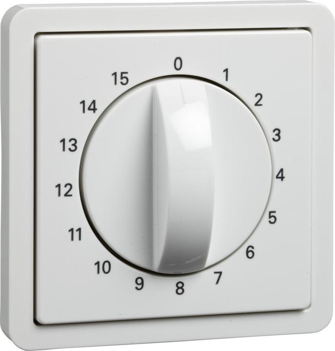 Actual product image Schneider Electric Central plate timer insert 223084