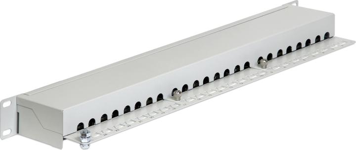 Image du produit Delock Panneau de brassage RJ-45 X 24