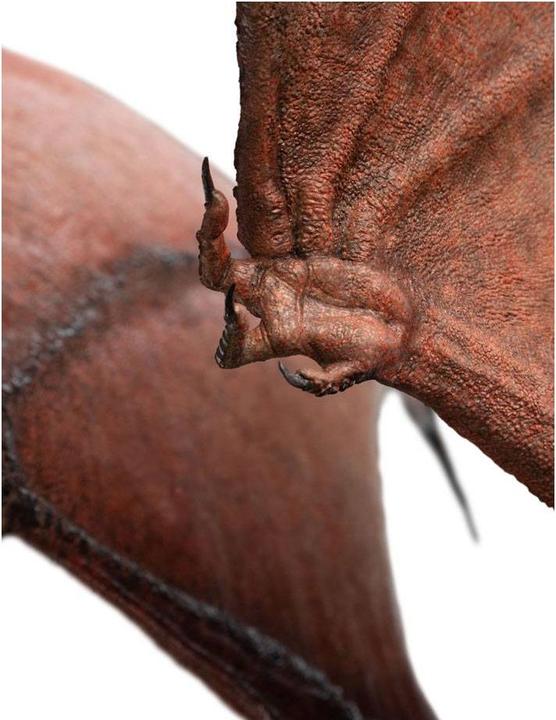 Actual product image Weta Workshop Smaug the Fire-Drake