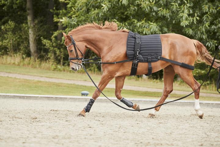 Productafbeelding Catago HYBRID Trainingszadeldek met elastiek