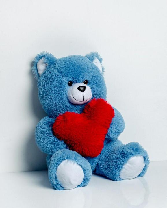 Actual product image Go Gift FRANK teddy bear 50 cm blue (50 cm)