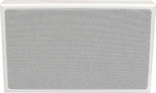 Image du produit Visaton blanc Enceinte murale WL 13 P