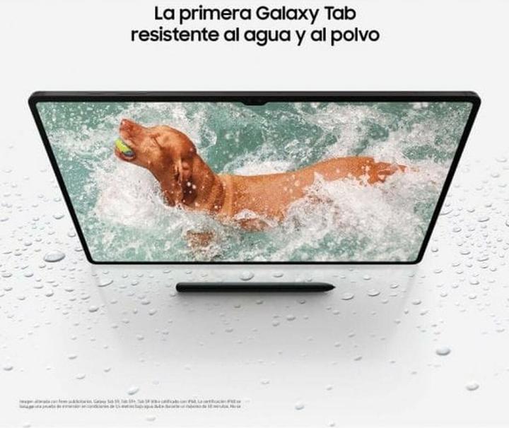 Image du produit Samsung Galaxy Tab S9 5G (5G, 11", 256 Go, Gris graphite)