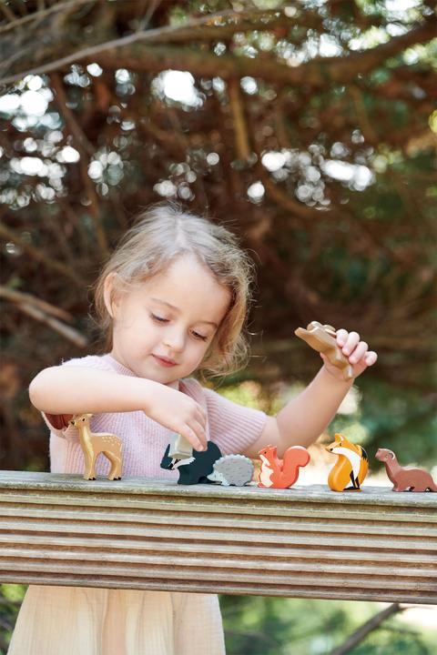 Productafbeelding Tender Leaf Toys Vertoning van bosdieren