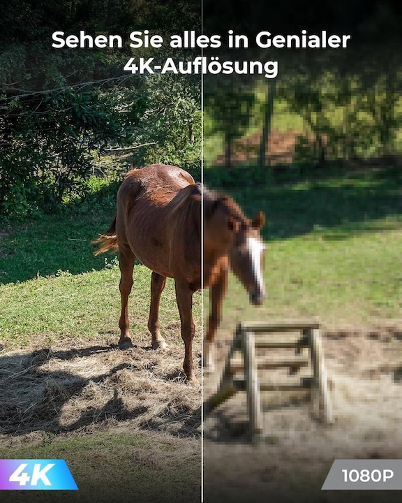 Actual product image Reolink GO PT Plus (2560 x 1440 (WQHD))