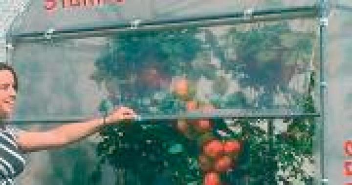 Produktbild Neogard Rollo zu Tomatenhaus