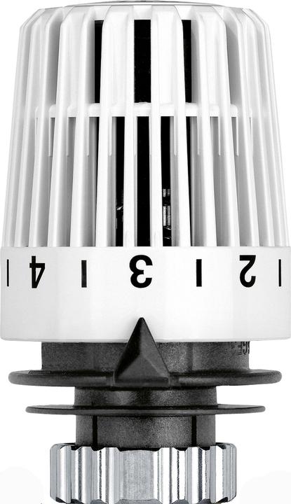 Actual product image Magni Thermostatic head