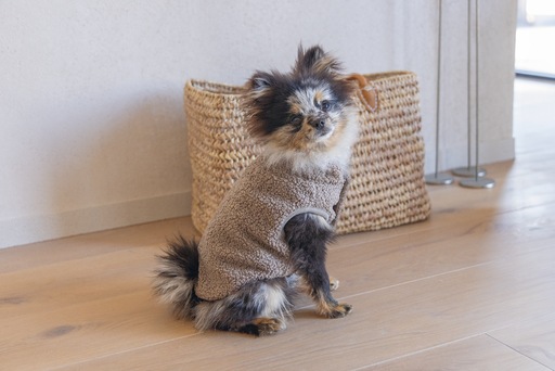 Image du produit Designed by Lotte Pull pour chien Madeleine (S, Pull-over pour chien)