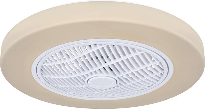 Actual product image Globo Joey