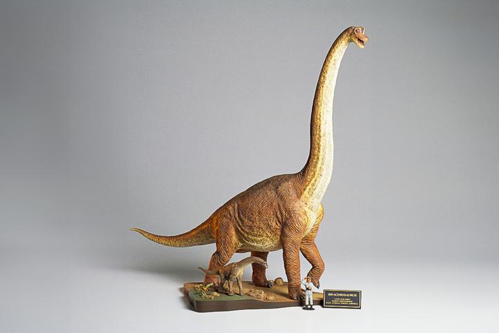 Produktbild Tamiya 300060106 Brachiosaure Dinosau