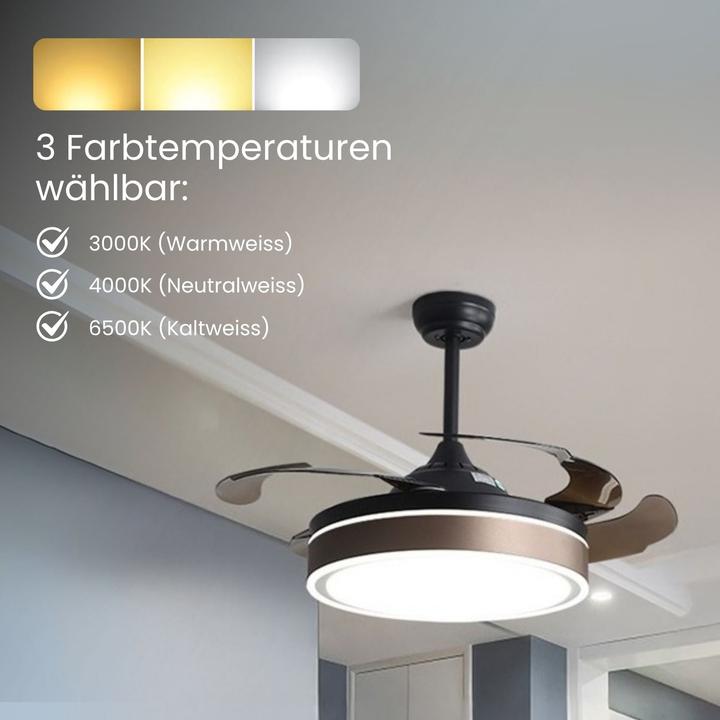 Image du produit Hermex Deckenventilator mit LED-Beleuchtung Deckengebläse Ventilator (35 dB)