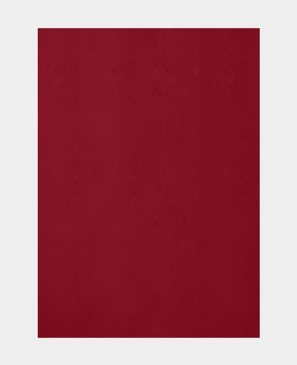 Actual product image Stafil Faux leather fabric