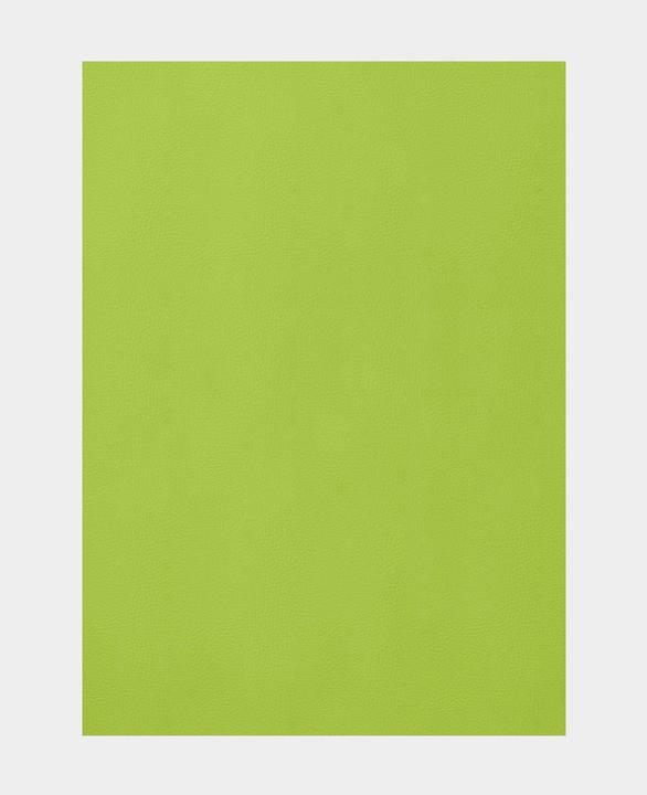 Actual product image Stafil Faux leather fabric (70 x 50 cm)