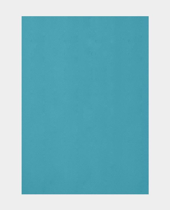 Actual product image Stafil Faux leather fabric (70 x 50 cm)
