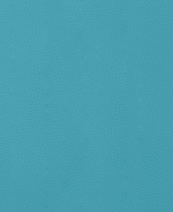 Actual product image Stafil Faux leather fabric (70 x 50 cm)