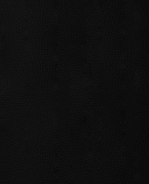 Image du produit Stafil Tissu en cuir synthétique