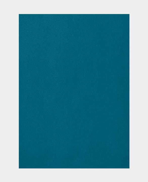 Actual product image Stafil Faux leather fabric