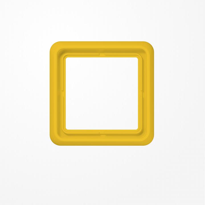 Actual product image JUNG Mounting frame 1f ge glz CD / CD 500 Kst CD581GLGE