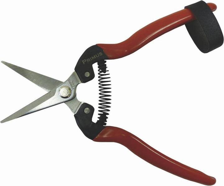 Garten Primus Wunderschere
