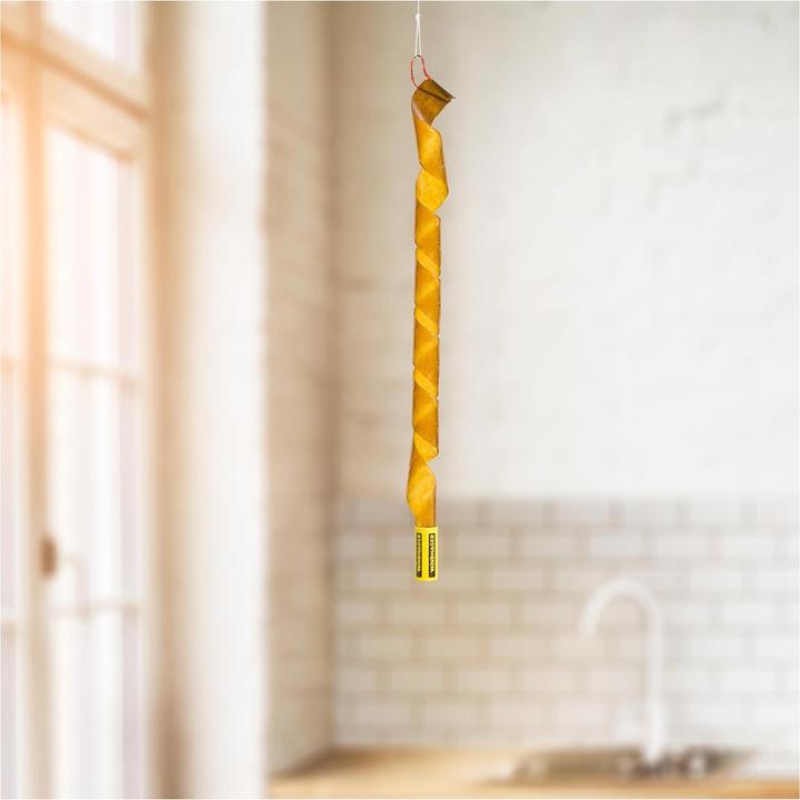 Produktbild Windhager Fliegenfänger