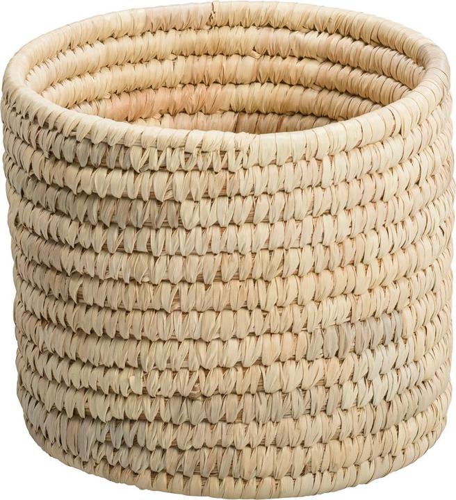 Actual product image pfister Palm