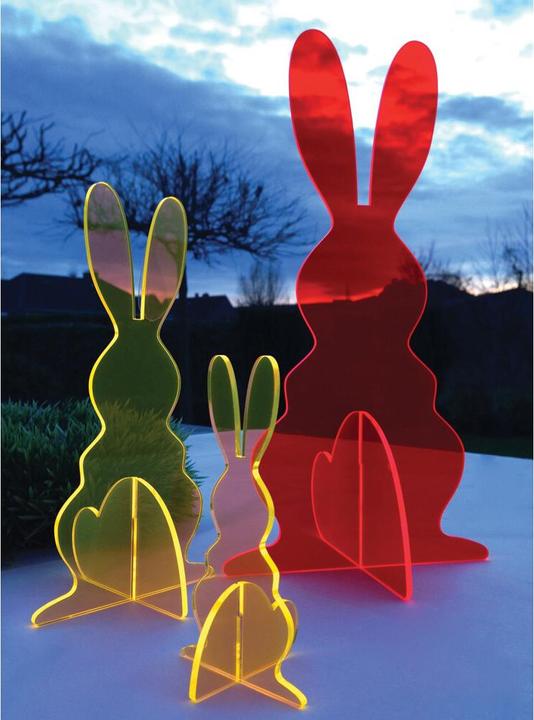 Produktbild Elliot Otolumi Bunny 3D