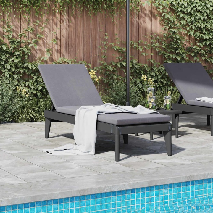 Actual product image VidaXL Sonnenliege Anthrazit 186x60x29 cm PP,Farbe: Anthrazit (186 cm)