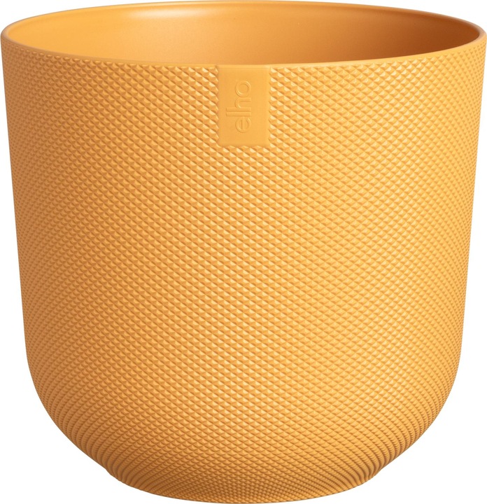 Amber yellow