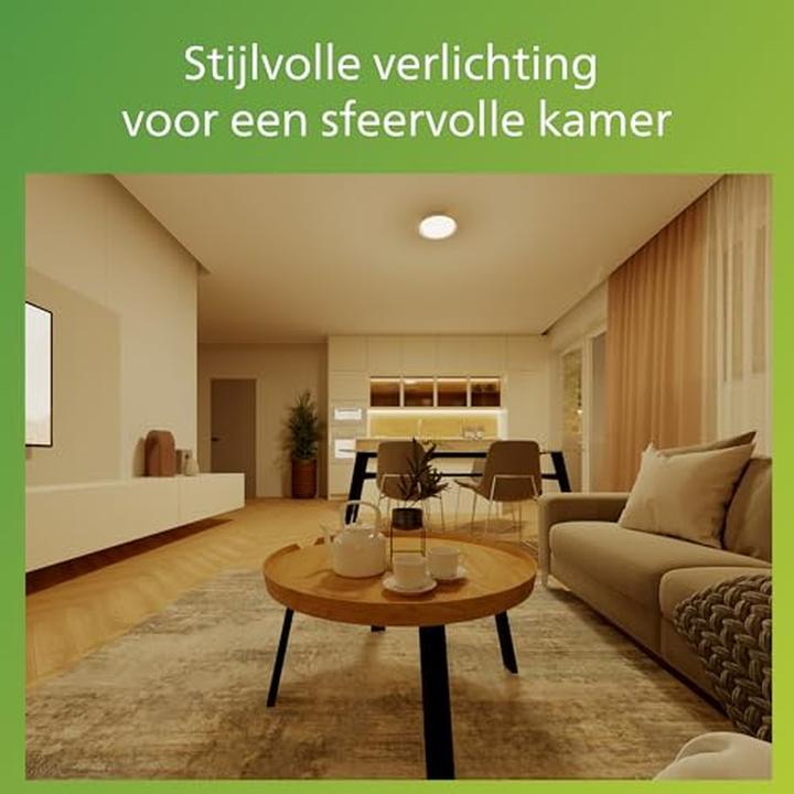 Actual product image Philips Pebblo Ultra (1850 lm)