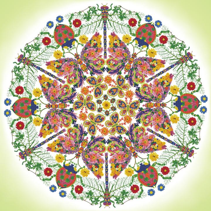 Immagine prodotto Diamond Dotz Giardino caleidoscopio 62 x 62 cm