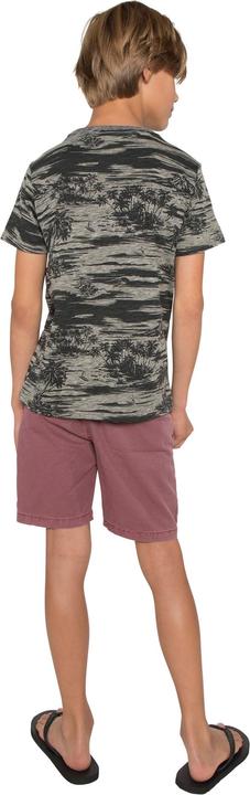 Produktbild Protest Shorts Lowell wine (152)