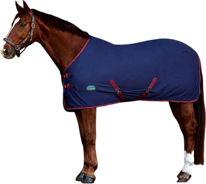 Produktbild Weatherbeeta Standard Trainingsplane Pferde (175 cm)