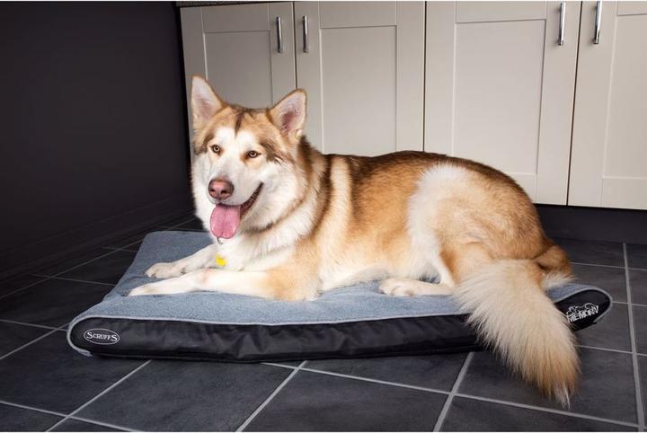 Produktbild Scruffs Cortney (Hund)
