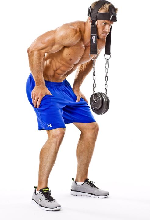 Actual product image Schiek Head Harness Model 1500 (One size)