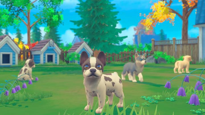 Image du produit Maximum Games My Universe - Chiens et chatons (Switch, IT)