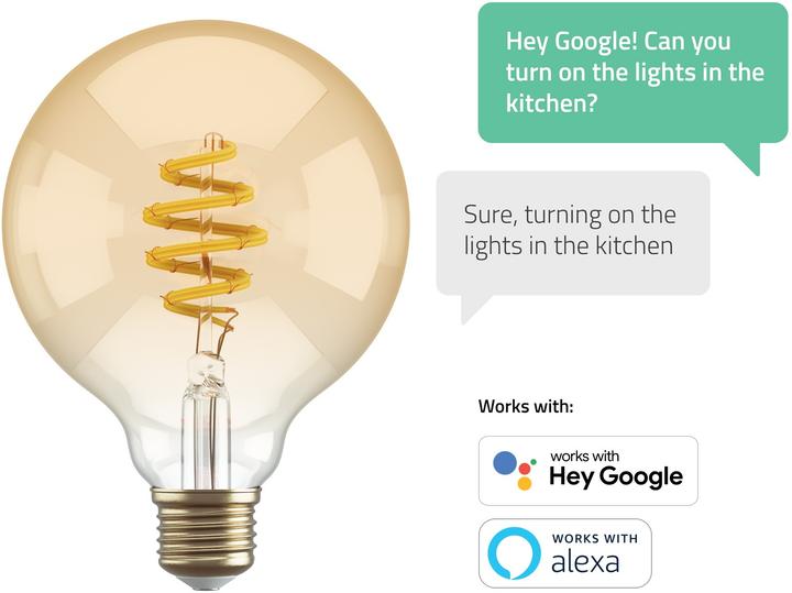 Energy Label Hombli Filament (E27, 5.50 W, 300 lm, 1 x, G)
