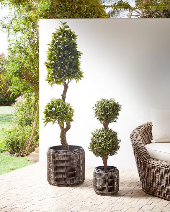 Produktbild Beliani Brodiea