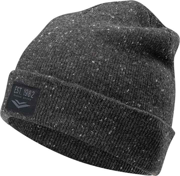 Actual product image Mens Winter Hat Halit Grey (One size)
