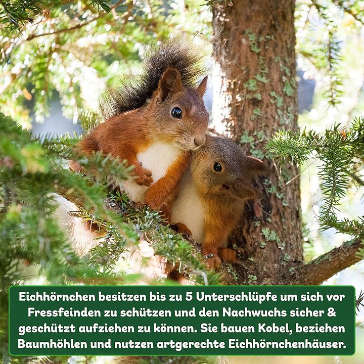 Produktbild Erdenfreund Eichhörnchennisthaus