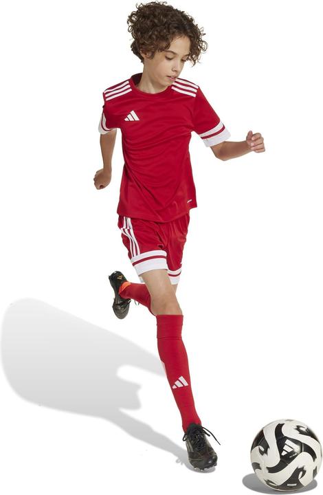 Produktbild adidas Squadra 25 Trikot Kids (164)