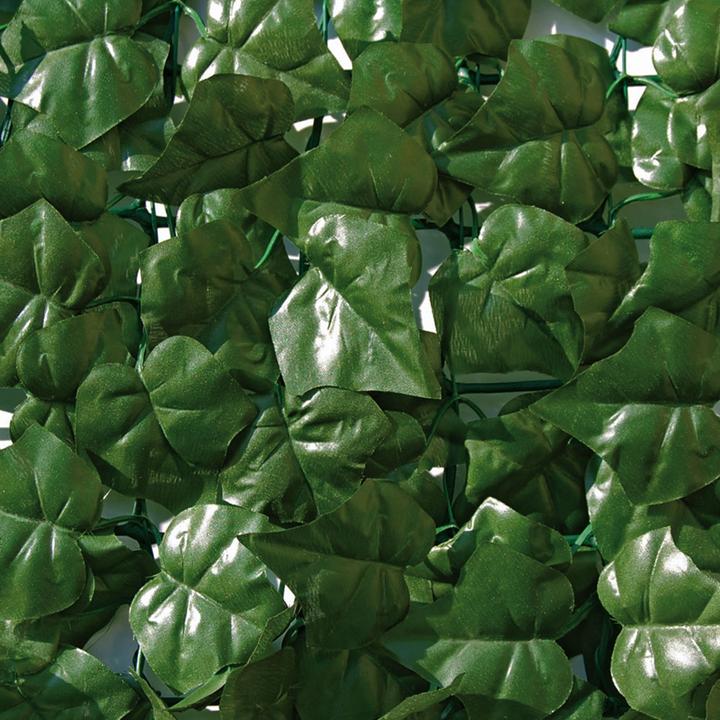 Produktbild Tenax Divy Hedera (300 cm)